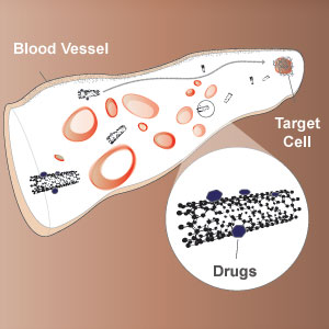 Drug Delivery and Detection