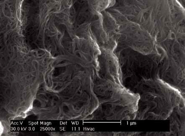 HiPCO Single Wall Carbon Nanotubes